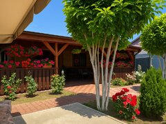 Bolintin Vale casa solida, complet renovata, cu terasa generoasa